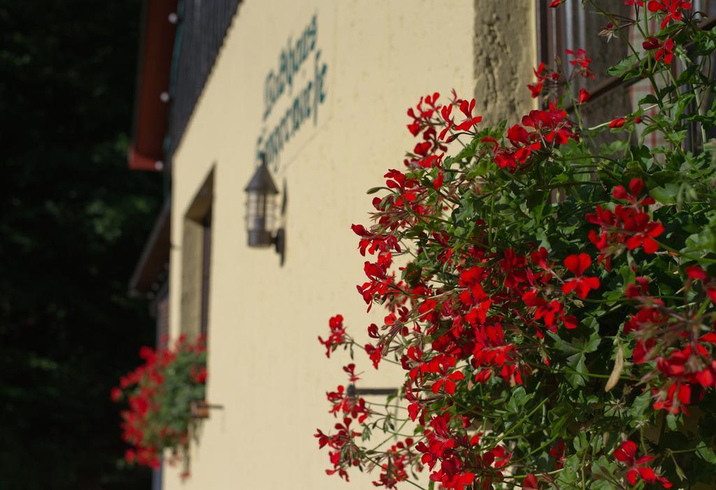 Saengerwiese Eisenach Chambre photo
