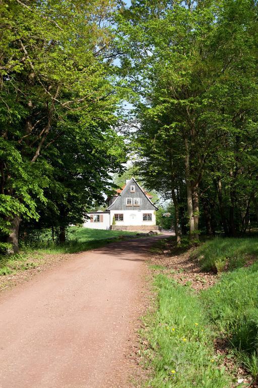 Saengerwiese Eisenach Chambre photo